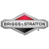 Briggs & Stratton